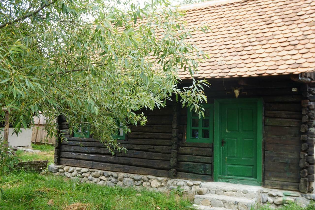 Oberwood Villa Porumbacu de Sus Ngoại thất bức ảnh