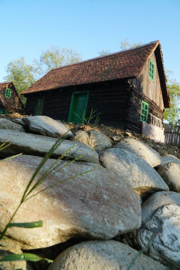 Oberwood Villa Porumbacu de Sus Ngoại thất bức ảnh