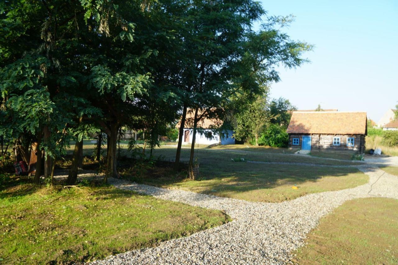 Oberwood Villa Porumbacu de Sus Ngoại thất bức ảnh